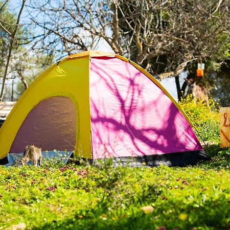 Отель Camping Panorama Ouazzane Экстерьер фото