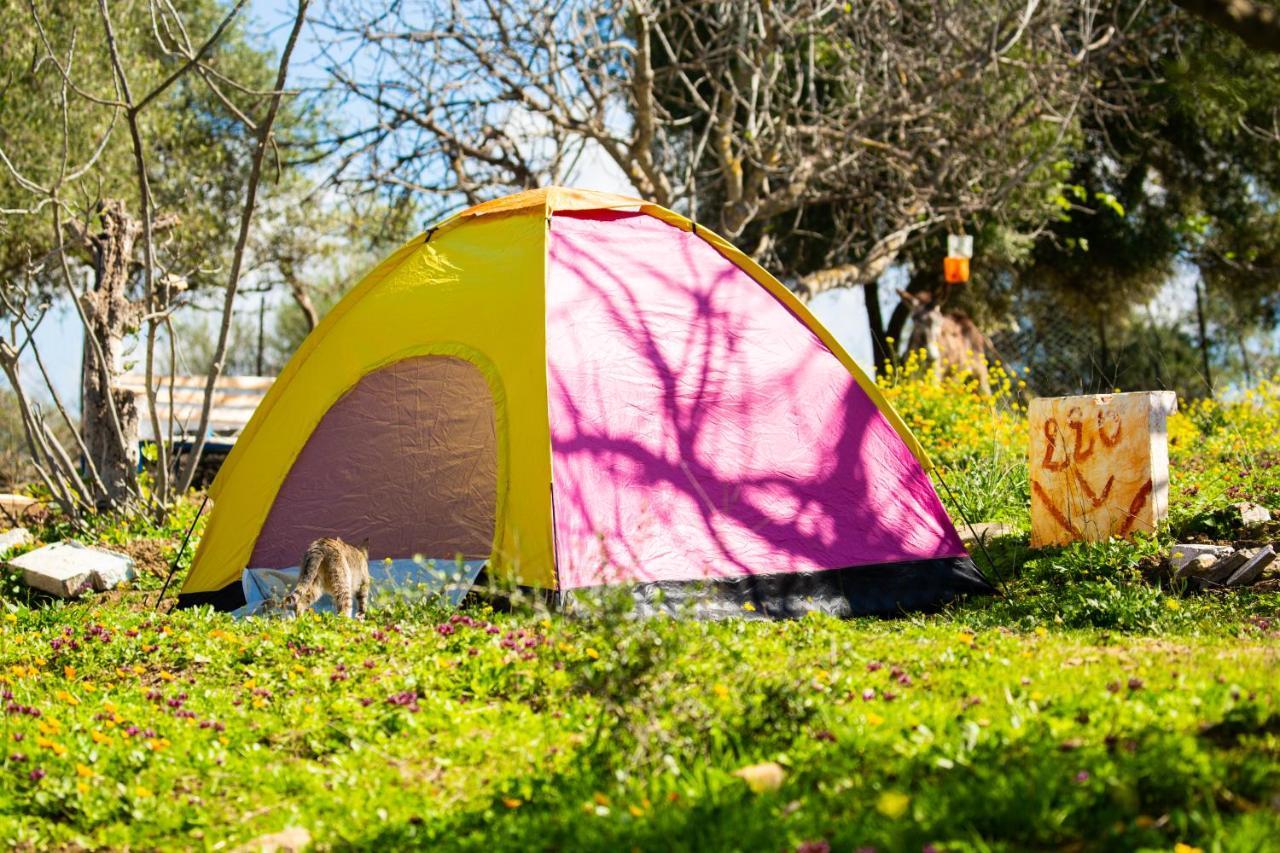 Отель Camping Panorama Ouazzane Экстерьер фото
